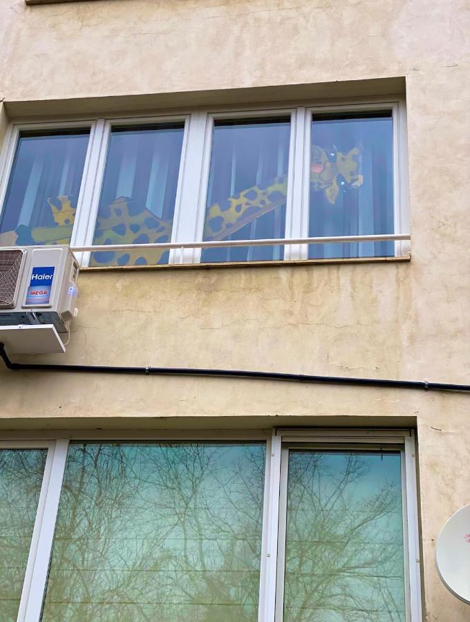Spacious Apartment Next To South Park Просторен Апартамент До Южен Парк Top Location ソフィア エクステリア 写真